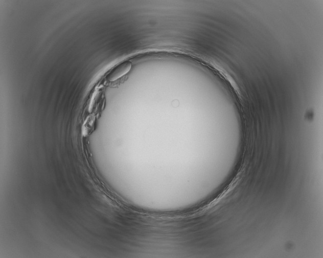 X0000116831069201001291638