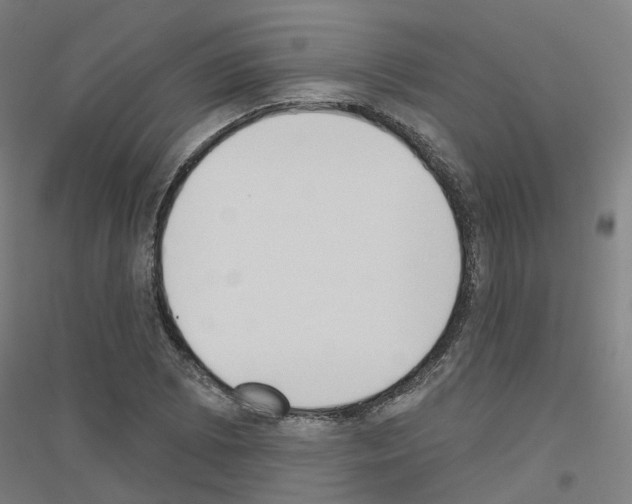 X0000116831073201001291638