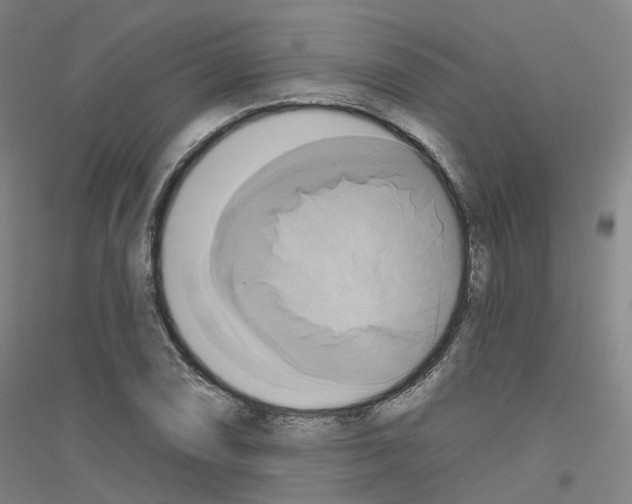 X0000116831074201001291638