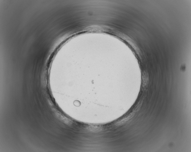 X0000116831075201001291638