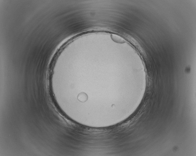 X0000116831076201001291638