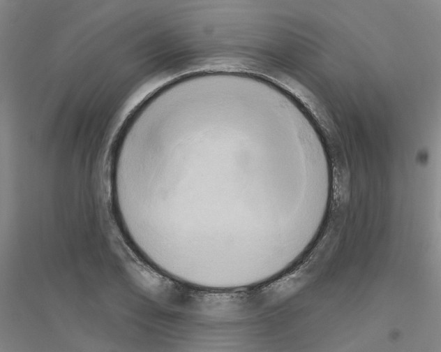 X0000116831078201001291638