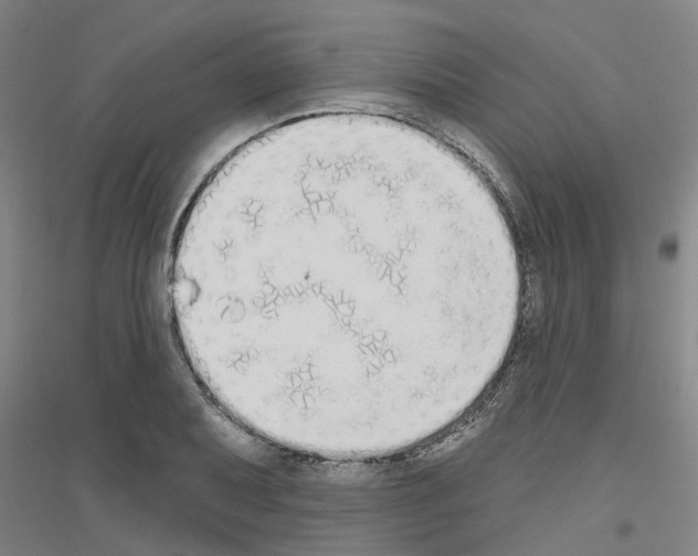 X0000116831079201001291638