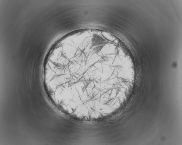 X0000116831080201001291638