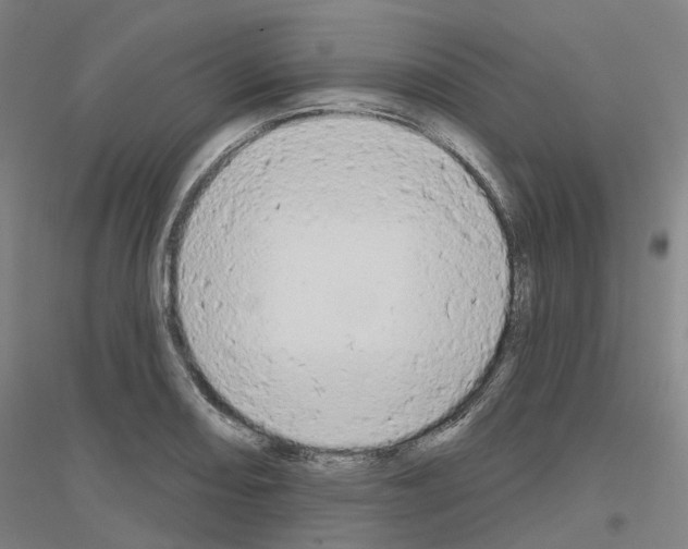 X0000116831082201001291638