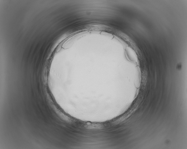 X0000116831083201001291638