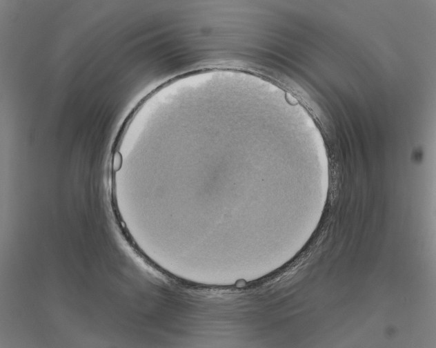 X0000116831084201001291638