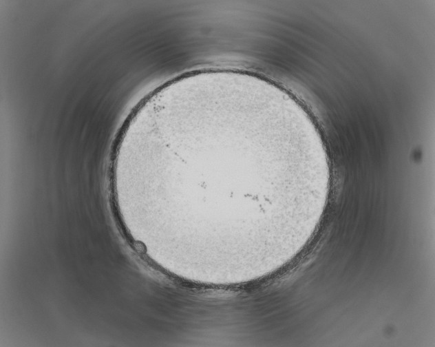 X0000116831085201001291638