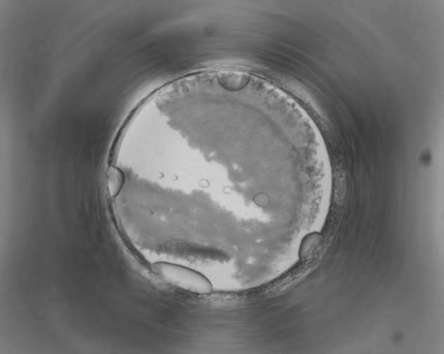 X0000116831087201001291638