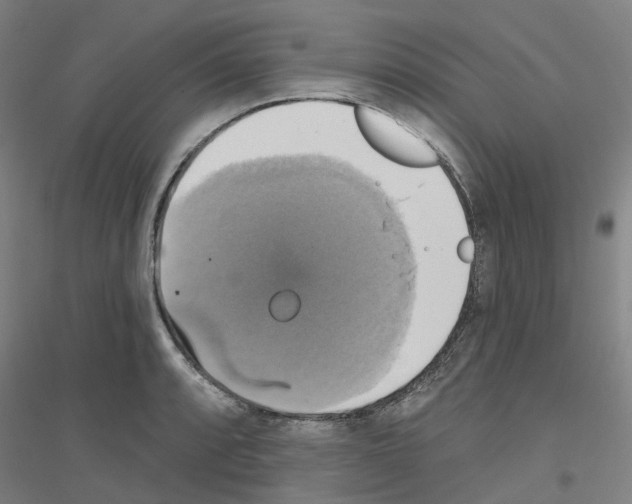 X0000116831088201001291638