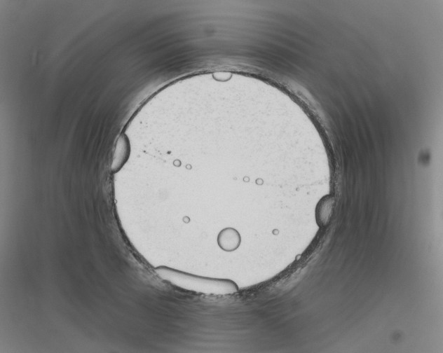 X0000116831089201001291638