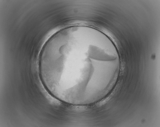 X0000116831090201001291638