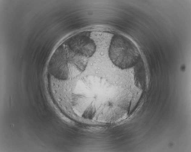 X0000116831091201001291638