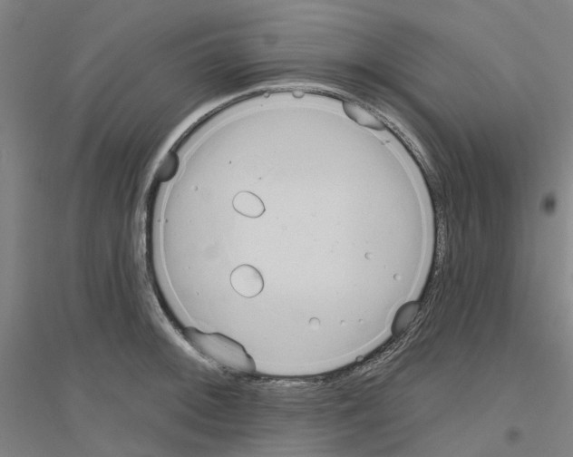 X0000116831092201001291638