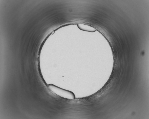 X0000116831093201001291638