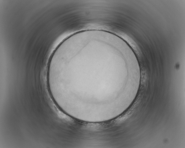 X0000116831094201001291638