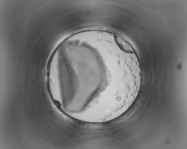 X0000116831095201001291638