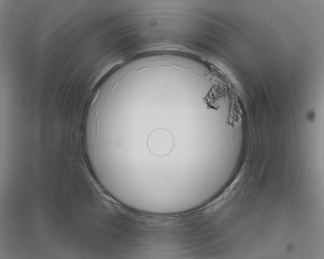 X0000116831097201001291638