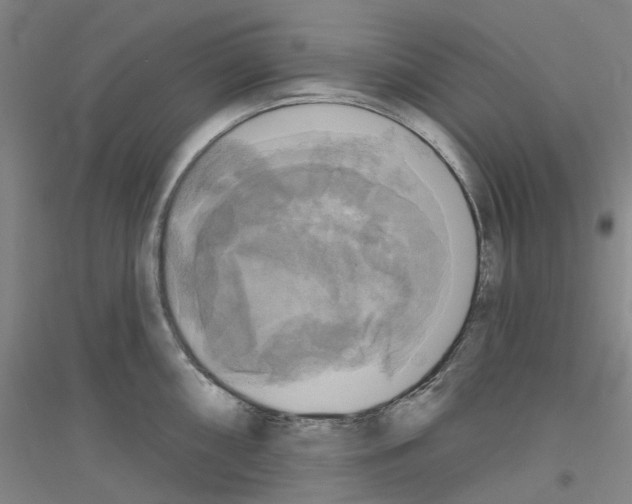 X0000116831098201001291638