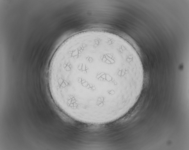 X0000116831099201001291638