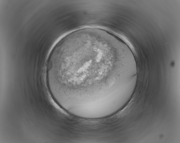 X0000116831100201001291638