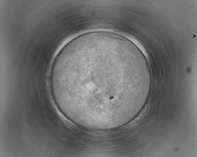 X0000116831101201001291638