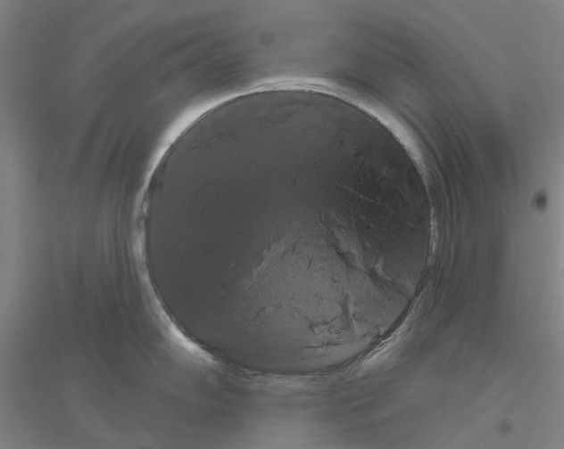 X0000116831102201001291638