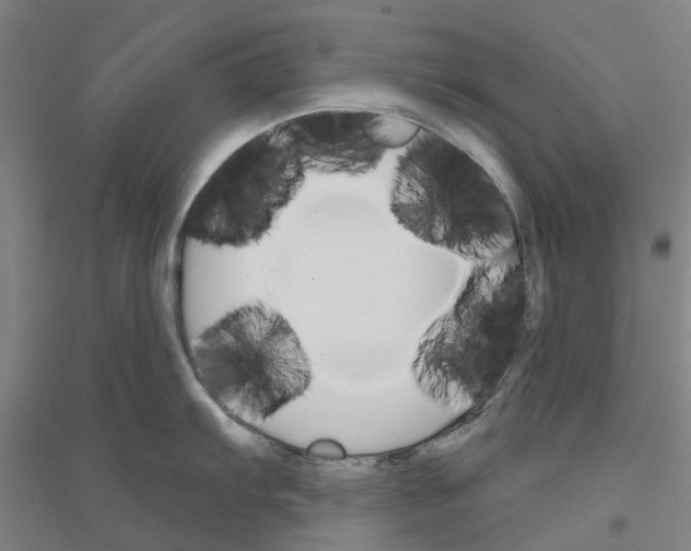 X0000116831103201001291638