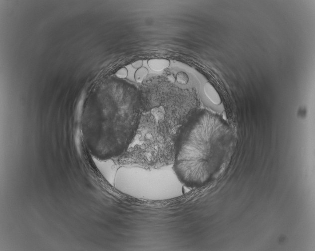 X0000116831106201001291637