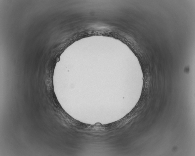 X0000116831109201001291637