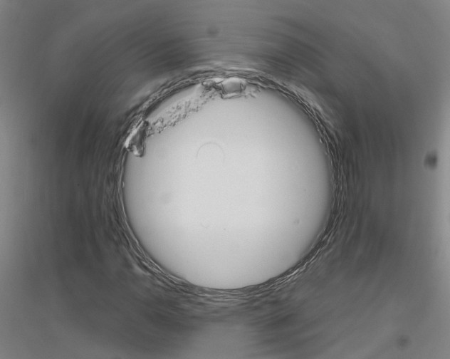 X0000116831110201001291637