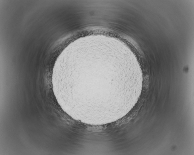 X0000116831111201001291637