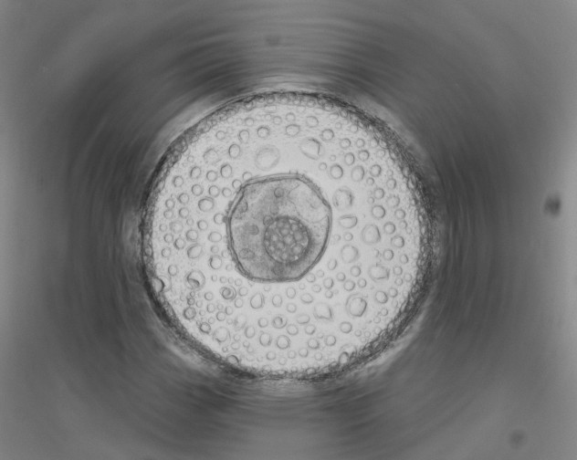 X0000116831113201001291637