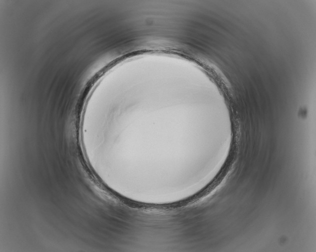 X0000116831114201001291637