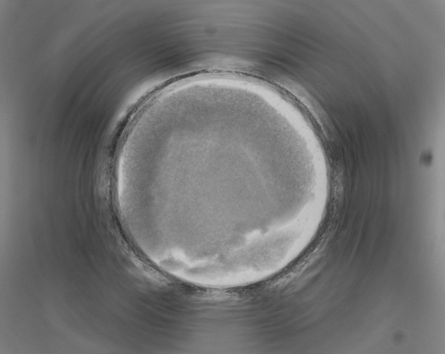 X0000116831115201001291637