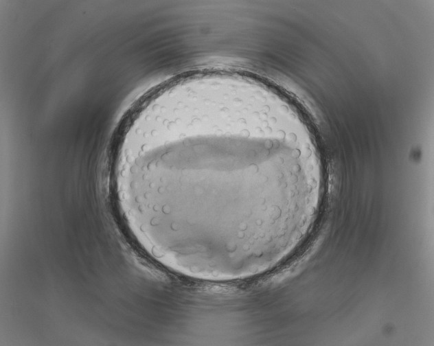 X0000116831117201001291637