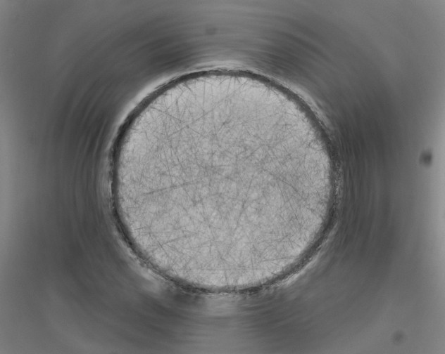 X0000116831118201001291637