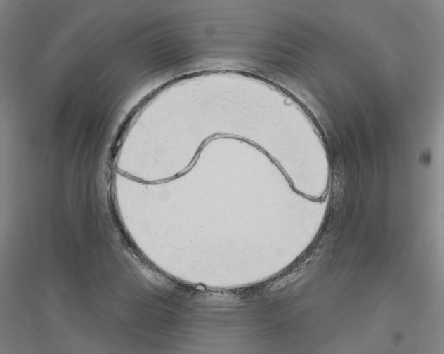 X0000116831119201001291637