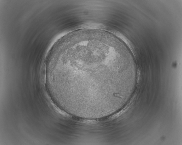 X0000116831123201001291637