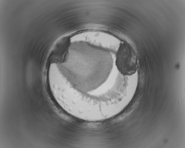 X0000116831125201001291637