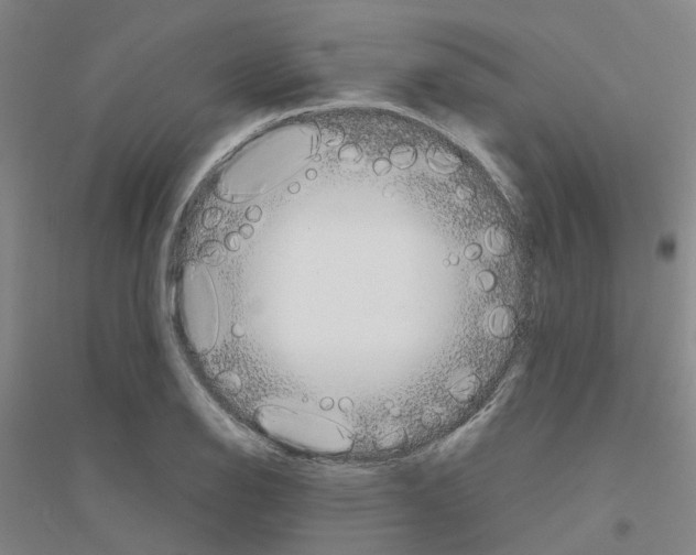 X0000116831126201001291637