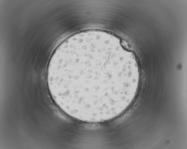 X0000116831129201001291637