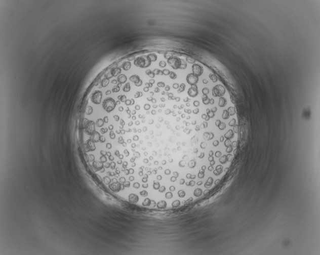 X0000116831130201001291637