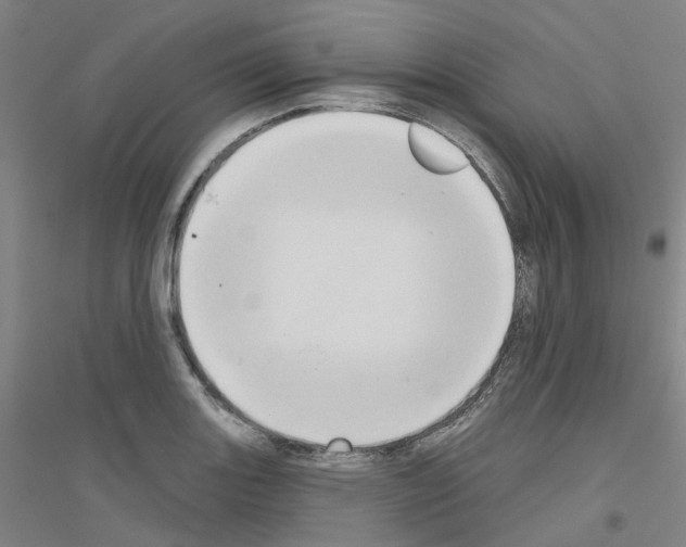 X0000116831131201001291637