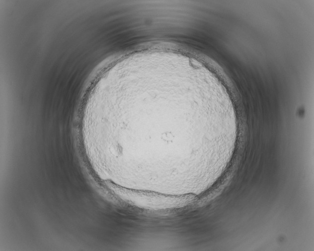 X0000116831133201001291637