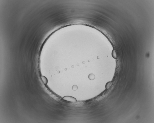 X0000116831134201001291637