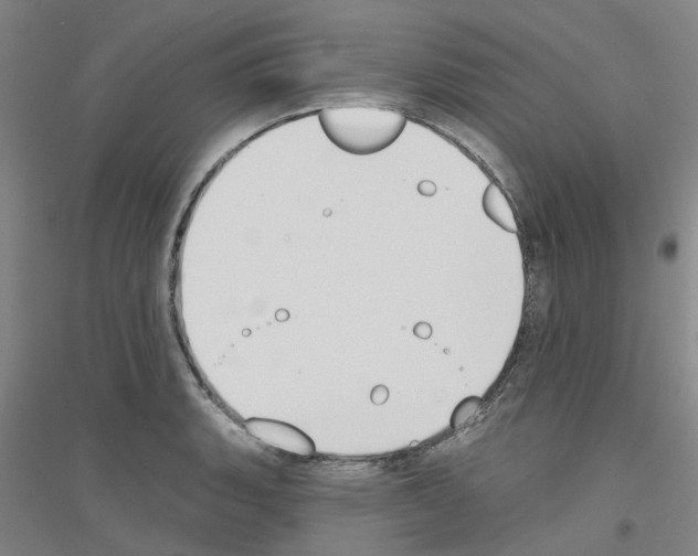 X0000116831135201001291637