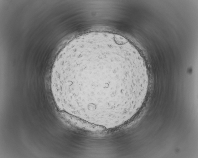 X0000116831137201001291637