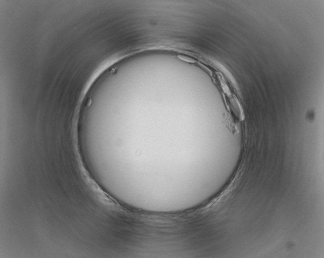 X0000116831138201001291637