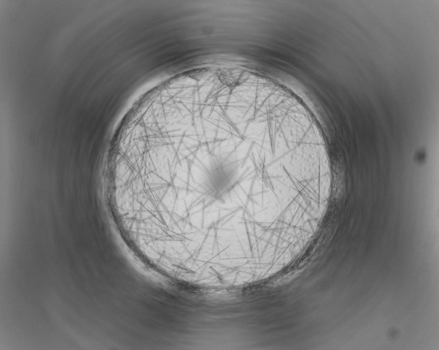 X0000116831139201001291637